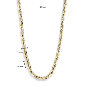 Collier bicolor