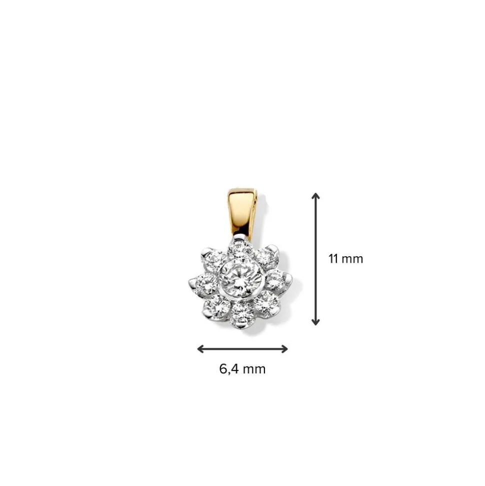 hanger_bicolor_briljant___1-5.webp Hanger bicolor briljant 0,21 crt.