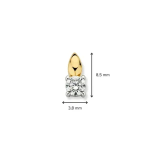 Hanger bicolor zirkonia