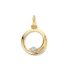 Hanger geelgoud zirkonia