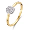 Ring bicolor briljant 0.09 crt.