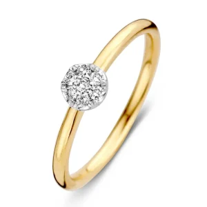 Ring bicolor briljant 0.10 crt.