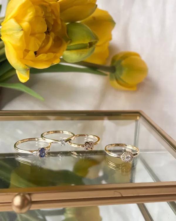 Ring bicolor briljant 0.06 crt.