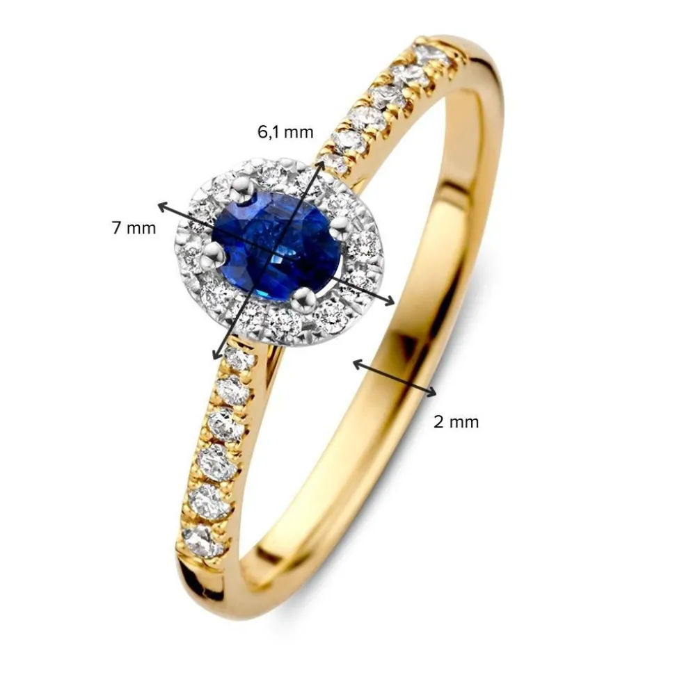 ring_bicolor_briljant__sa_2-2.webp Ring bicolor briljant + saffier