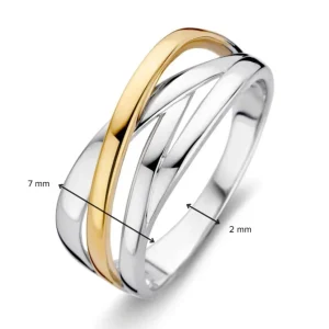 Ring zilver/goud
